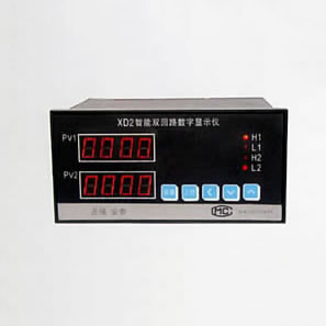 XD2系列智能双光柱数字显示仪